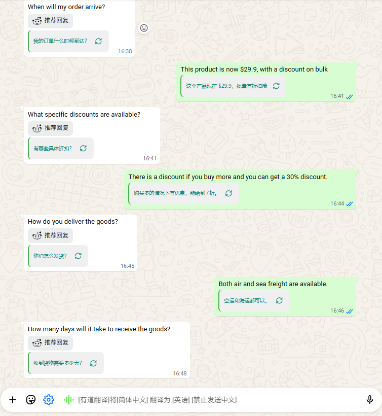 WhatsApp chat translation preview